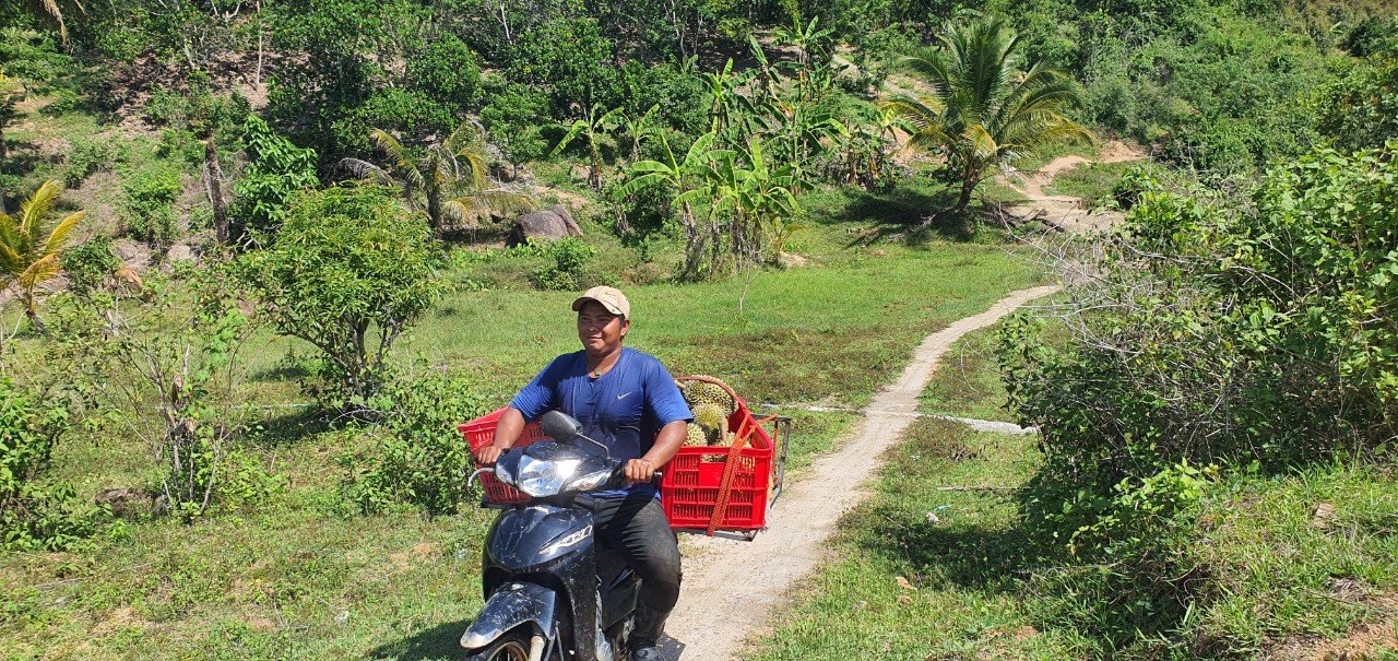 Dân vùng trồng 