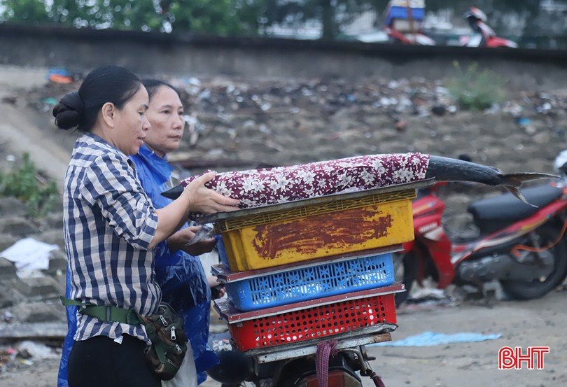 Ánh đèn pin lập lòe ở một chợ làng biển Hà Tĩnh, tới nơi thấy mua bán tấp nập cá ngon, mực to bự- Ảnh 11.