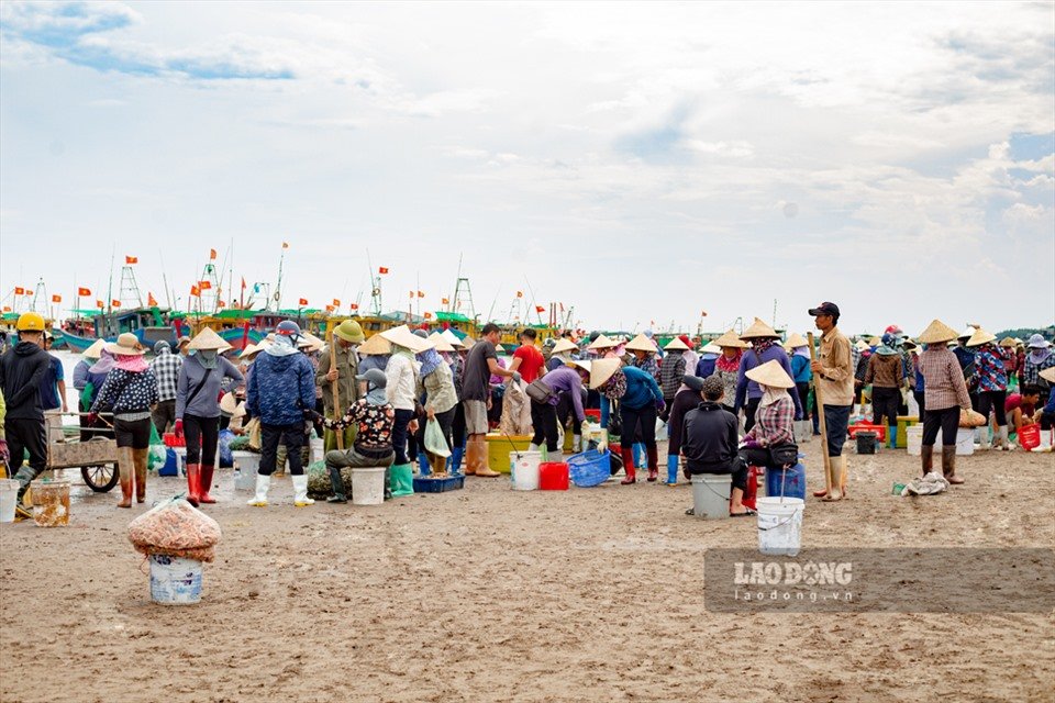 Nằm ngay một khu rừng nổi tiếng, chợ ngay sát biển ở một xã của Nam Định la liệt tôm tươi, cá ngon- Ảnh 4.