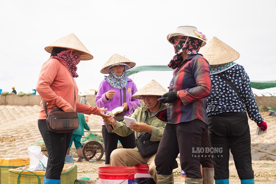 Nằm ngay một khu rừng nổi tiếng, chợ ngay sát biển ở một xã của Nam Định la liệt tôm tươi, cá ngon- Ảnh 12.