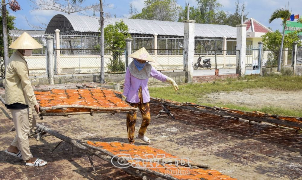 Một thị trấn ở Cà Mau đang nhộn nhịp, trù phú, nay bỗng buồn tênh, tất cả chỉ vì cạn kiệt loài cá ngon nào?- Ảnh 5.