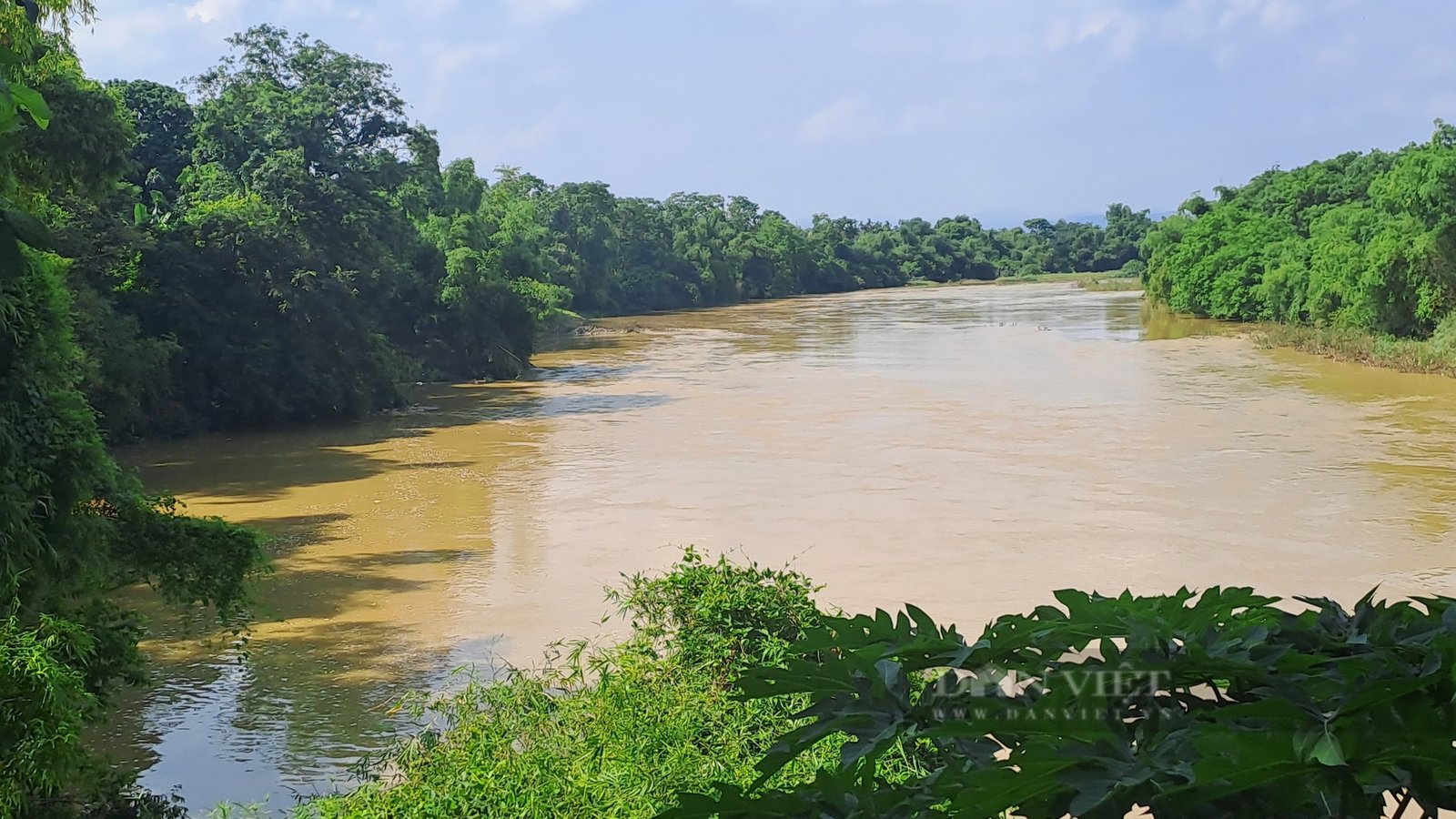 Bờ sông Cầu ở Thái Nguyên sạt lở như thế này, có nhà cách điểm lở đất chỉ 5m- Ảnh 3.