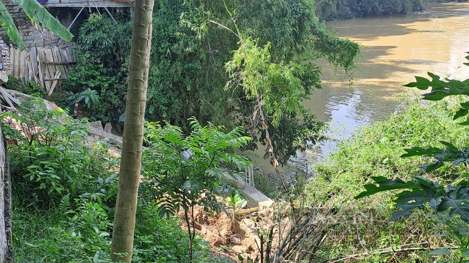 Bờ sông Cầu ở Thái Nguyên sạt lở như thế này, có nhà cách điểm lở đất chỉ 5m- Ảnh 4.