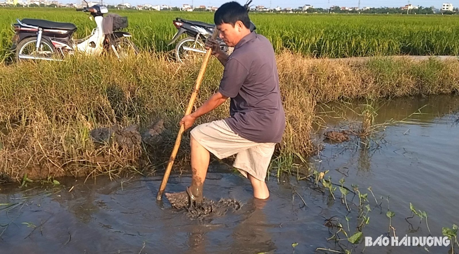 Một trò chơi dân gian là sản phẩm OCOP của Hải Dương, đó là trò gì?- Ảnh 3. Một trò chơi dân gian là sản phẩm OCOP của Hải Dương, đó là trò gì?- Ảnh 3.