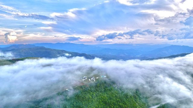 Giữa vùng đất nắng gió Quảng Ngãi có một thảo nguyên bao la, dân đang trồng la liệt rau xứ lạnh- Ảnh 11.