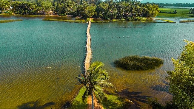 Người ta đang kéo đến đầm Trà Ổ đầm nước ngọt tự nhiên có cá chình mun đặc sản Bình Định- Ảnh 7.