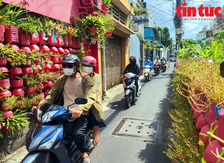 Dân tình săn tìm căn nhà màu hồng có hàng trăm chậu cây cảnh sơn màu hồng của một người Sài Gòn- Ảnh 12.