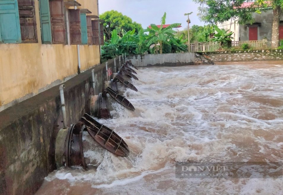 Một huyện ở Ninh Bình toàn bộ diện tích lúa mùa đã gieo cấy bị ngập hoàn toàn- Ảnh 6. Một huyện ở Ninh Bình toàn bộ diện tích lúa mùa đã gieo cấy bị ngập hoàn toàn- Ảnh 6.
