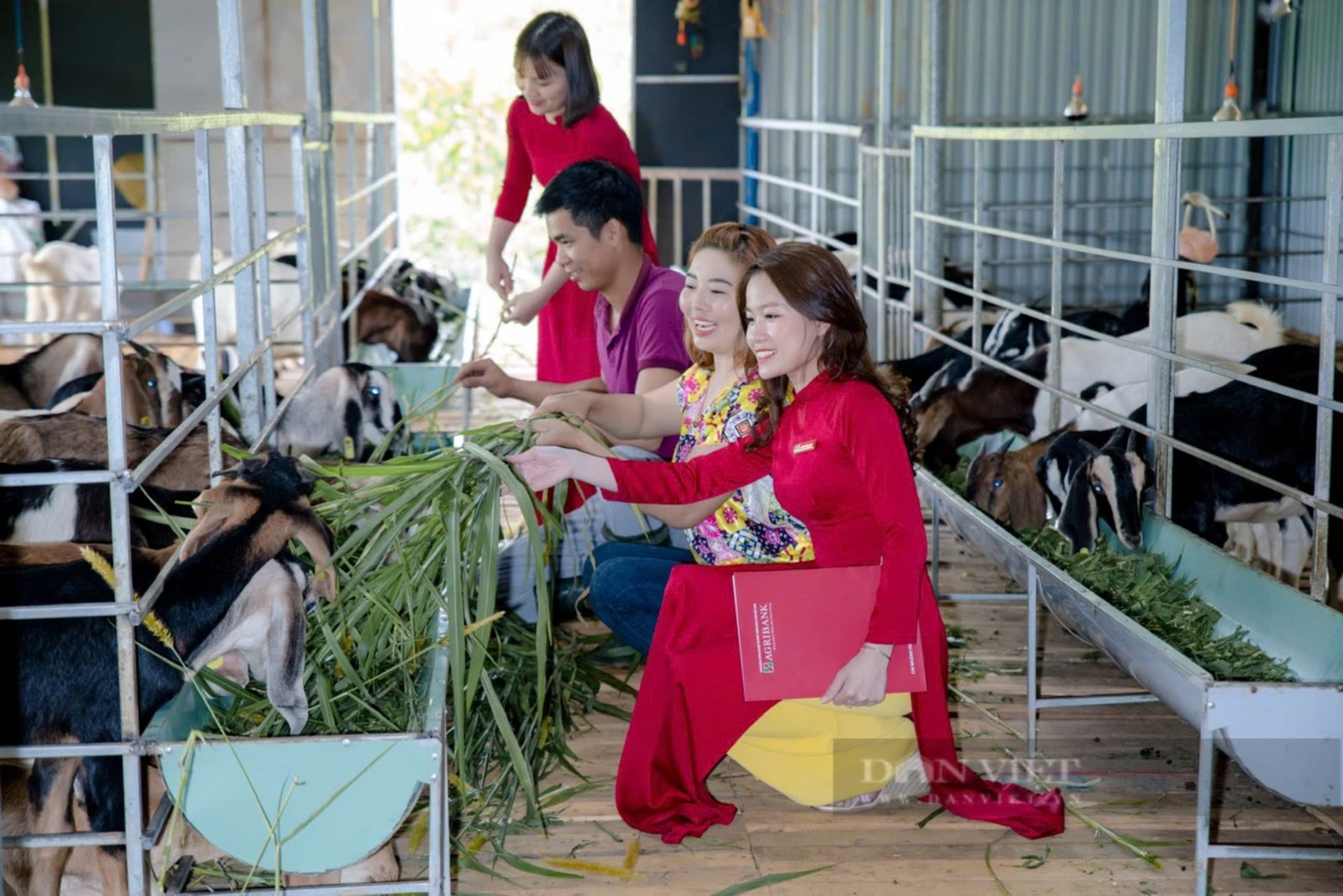 Xây dựng nông thôn mới gắn với phát triển đô thị, huyện Núi Thành của tỉnh Quảng Nam chuyển mình mạnh mẽ- Ảnh 6. Xây dựng nông thôn mới gắn với phát triển đô thị, huyện Núi Thành của tỉnh Quảng Nam chuyển mình mạnh mẽ- Ảnh 6.