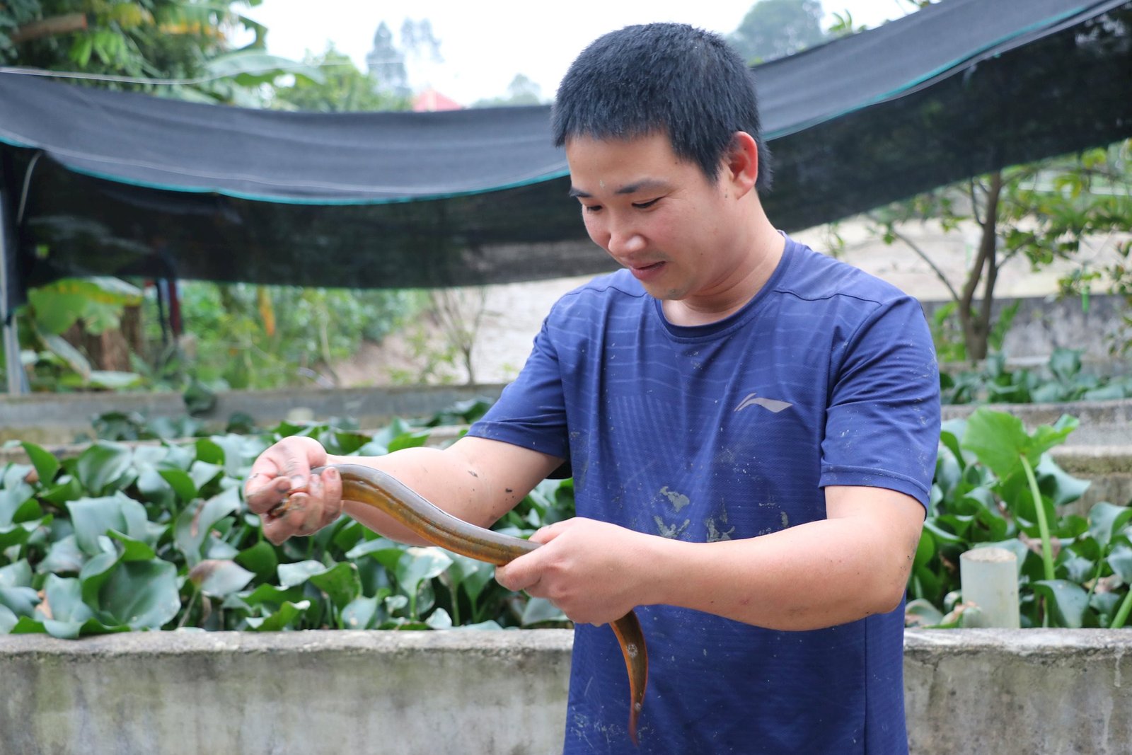 Thuộc Thuộc