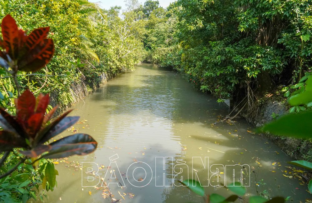 Làng cổ ở Hà Nam đẹp như phim, từ đường Nguyễn Khuyến là nhà cổ, bia đá khắc bài thơ nổi tiếng- Ảnh 5.