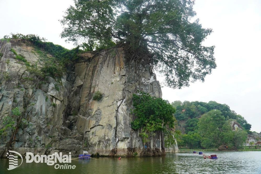 Loài chim hoang dã cực kỳ quý hiếm có cái cổ trông như con rắn bỗng xuất hiện thành đàn ở Đồng Nai- Ảnh 3. Loài chim hoang dã cực kỳ quý hiếm có cái cổ trông như con rắn bỗng xuất hiện thành đàn ở Đồng Nai- Ảnh 3.