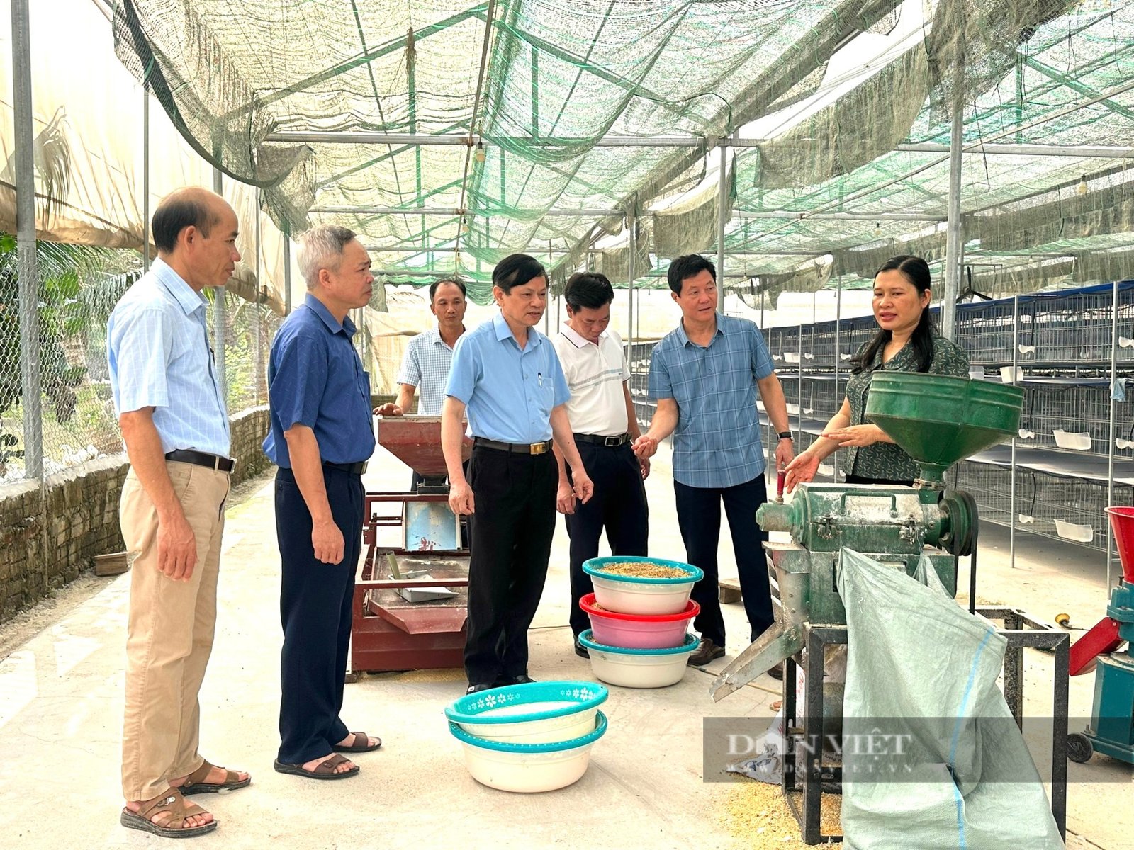 Ở một huyện của Thanh Hóa xuất hiện nhiều tỷ phú nông dân, có hộ nuôi chim gì mà thu 1 tỷ?- Ảnh 4. Ở một huyện của Thanh Hóa xuất hiện nhiều tỷ phú nông dân, có hộ nuôi chim gì mà thu 1 tỷ?- Ảnh 4.