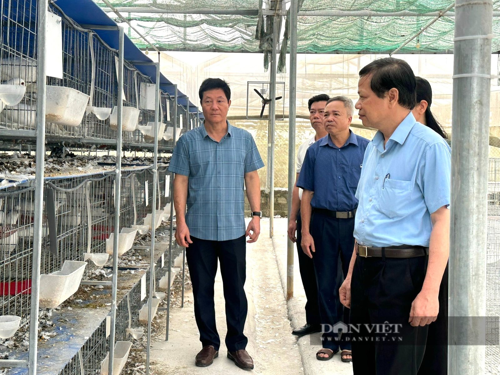 Ở một huyện của Thanh Hóa xuất hiện nhiều tỷ phú nông dân, có hộ nuôi chim gì mà thu 1 tỷ?- Ảnh 6. Ở một huyện của Thanh Hóa xuất hiện nhiều tỷ phú nông dân, có hộ nuôi chim gì mà thu 1 tỷ?- Ảnh 6.