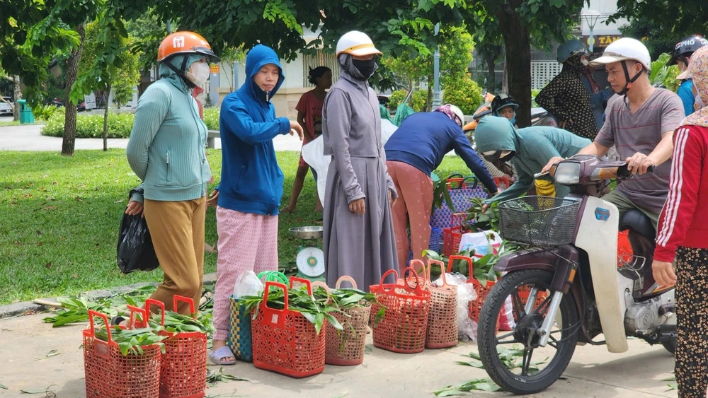 Lạ lùng ở Huế: Một loại đặc sản căng tròn, béo núc ních càng đắng càng ngon, trời vào thu là mọc lên ầm ầm- Ảnh 6.