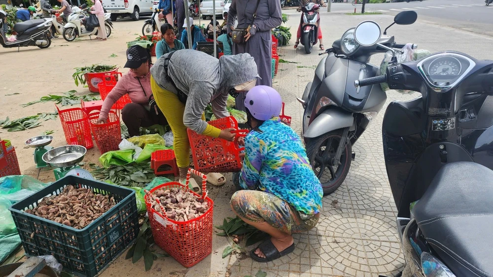 Lạ lùng ở Huế: Một loại đặc sản căng tròn, béo núc ních càng đắng càng ngon, trời vào thu là mọc lên ầm ầm- Ảnh 7.