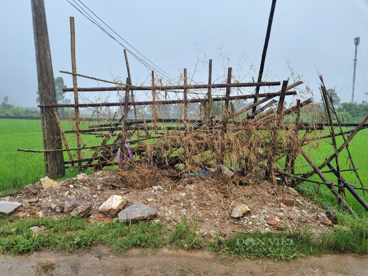 Gần 2 năm dân dựng hàng rào, giăng dây thép gai chặn lối vào một trang trại nuôi lợn ở Ninh Bình- Ảnh 4.