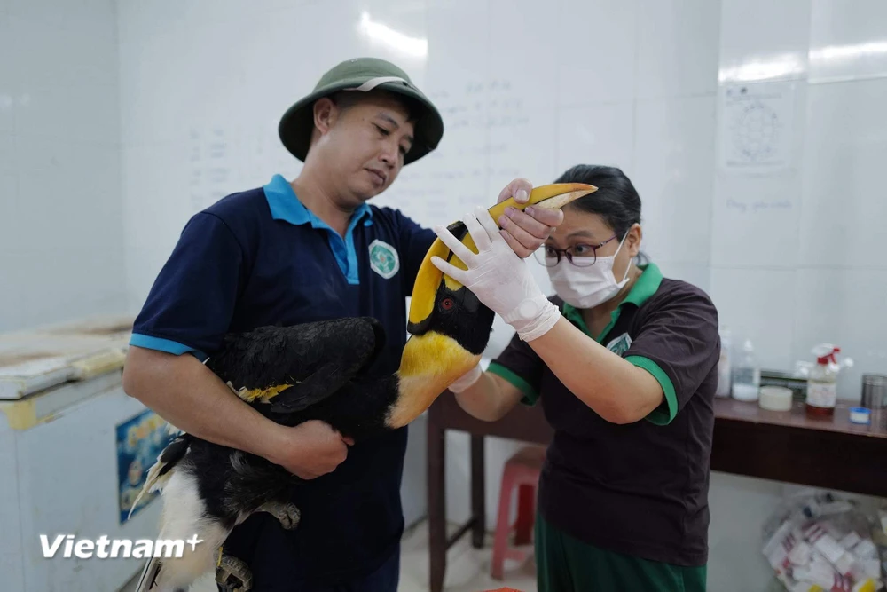 Ninh Bình: Bên trong ngôi nhà thứ hai của hơn 2.500 loài động vật hoang dã, có nhiều loài quý hiếm- Ảnh 2.