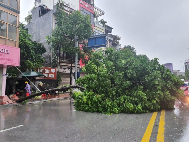 Bão số 2 năm 2024 mới nhất: Suy yếu thành áp thấp nhiệt đới, gió giật cấp 7, gây mưa to ở Quảng Ninh- Ảnh 3.