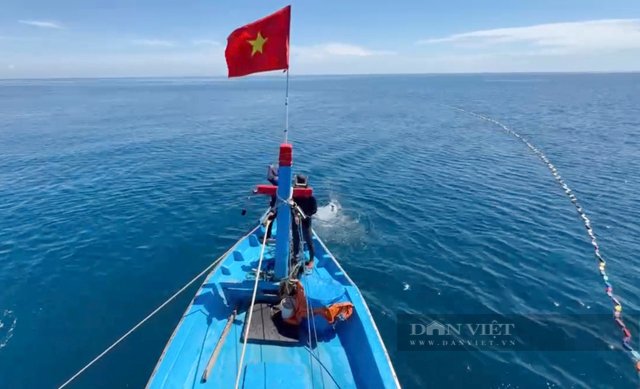 Cận cảnh tàu ngư dân “vẽ” lưới vòng tròn vây bắt loài cá ngừ to bự trên vùng biển gần Quảng Ngãi- Ảnh 1.