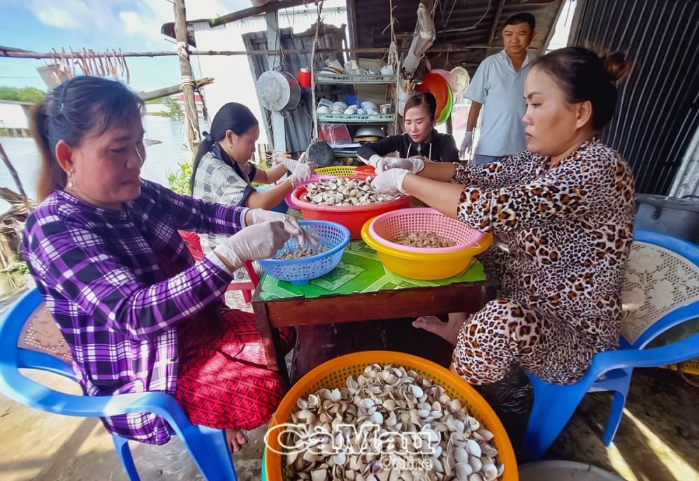 Chẳng ai ngờ anh nông dân Cà Mau lại có cách làm không giống ai, đem nghêu đi phơi ra đặc sản quá độc, lạ- Ảnh 1.