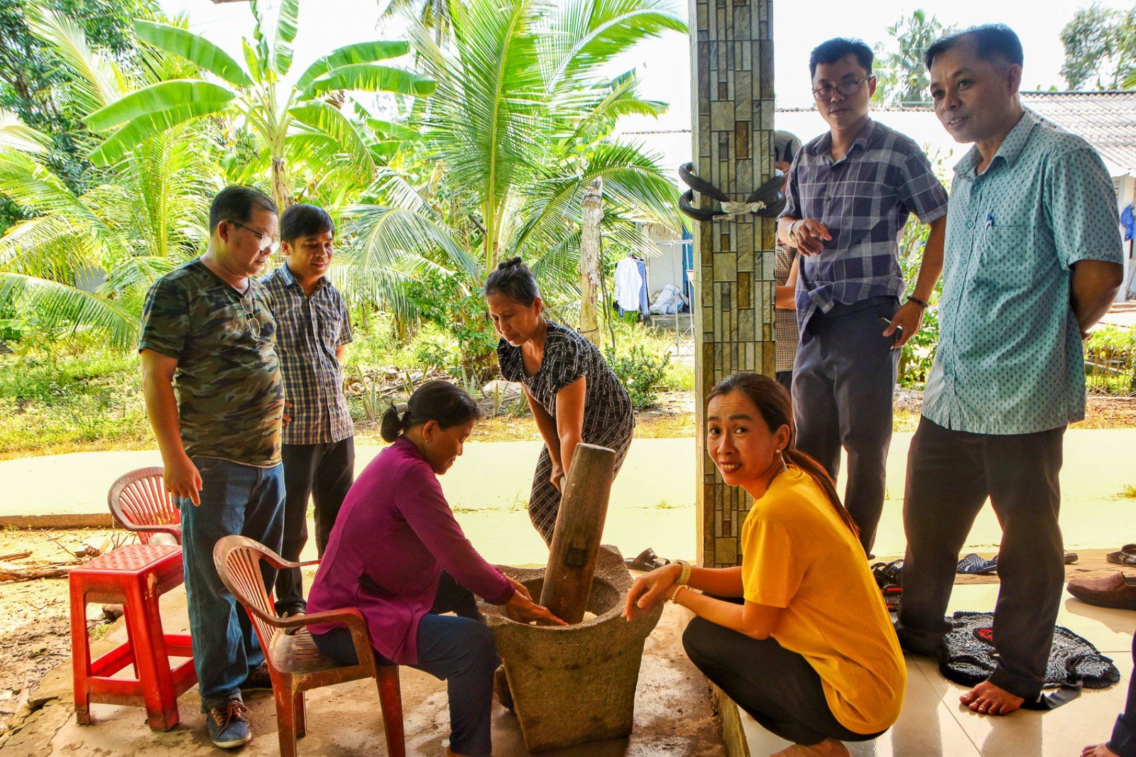 Cuốc một nhát bật lên chùm củ mì, ở Sóc Trăng dân đem ra làm bánh phồng, ăn ngon mê lắm luôn- Ảnh 2.