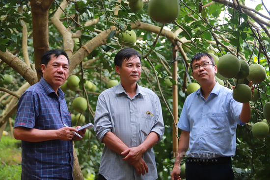 Hé lộ kịch bản tại Lễ trao giải báo chí toàn quốc viết về nông nghiệp, nông dân, nông thôn năm 2023 - Ảnh 3.