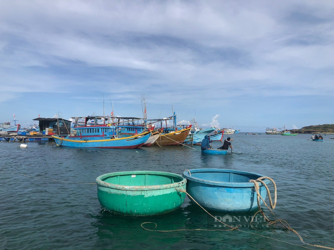 Một thợ lặn tử vong trên biển nghi do bị ép nước khi lặn bắt hải sản ở Bình Thuận- Ảnh 1.