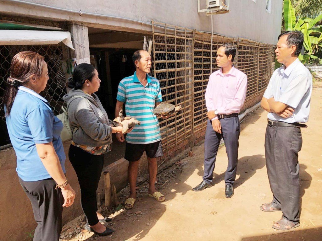 Nuôi rùa răng, loài động vật hoang dã nhờ vốn từ Ngân hàng CSXH, nông dân An Giang khá giả- Ảnh 2. Nuôi rùa răng, loài động vật hoang dã nhờ vốn từ Ngân hàng CSXH, nông dân An Giang khá giả- Ảnh 2.