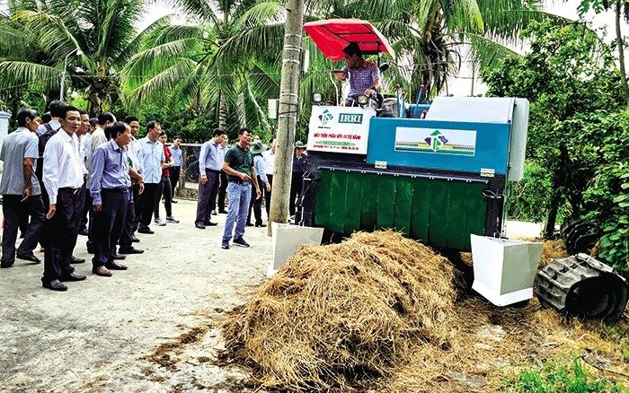 Rơm rạ xưa vứt đầy đồng nay thành nguyên liệu tốt để nông dân Cần Thơ làm kinh tế tuần hoàn- Ảnh 1.