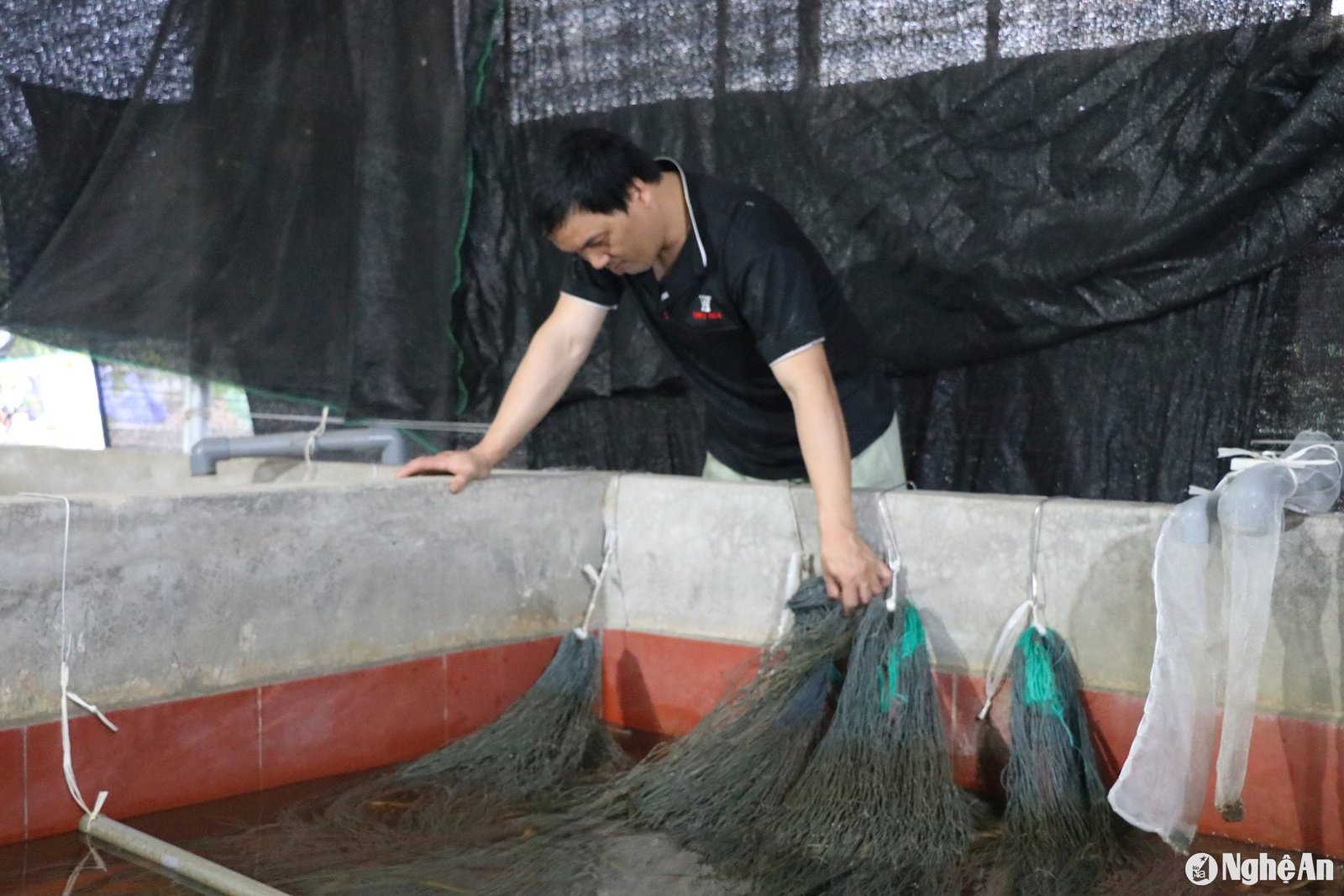 Thuộc Thuộc