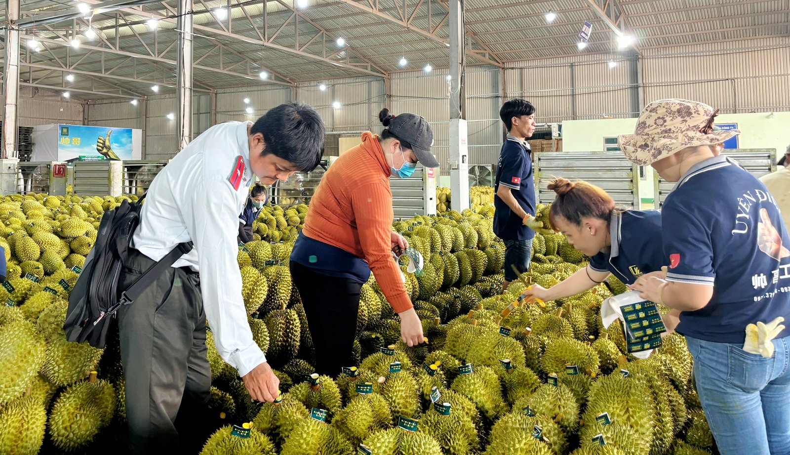 Kiểm tra các vùng trồng, cơ sở đóng gói sầu riêng ngành nông nghiệp Đắk Lắk khuyến cáo nhiều vấn đề- Ảnh 2.