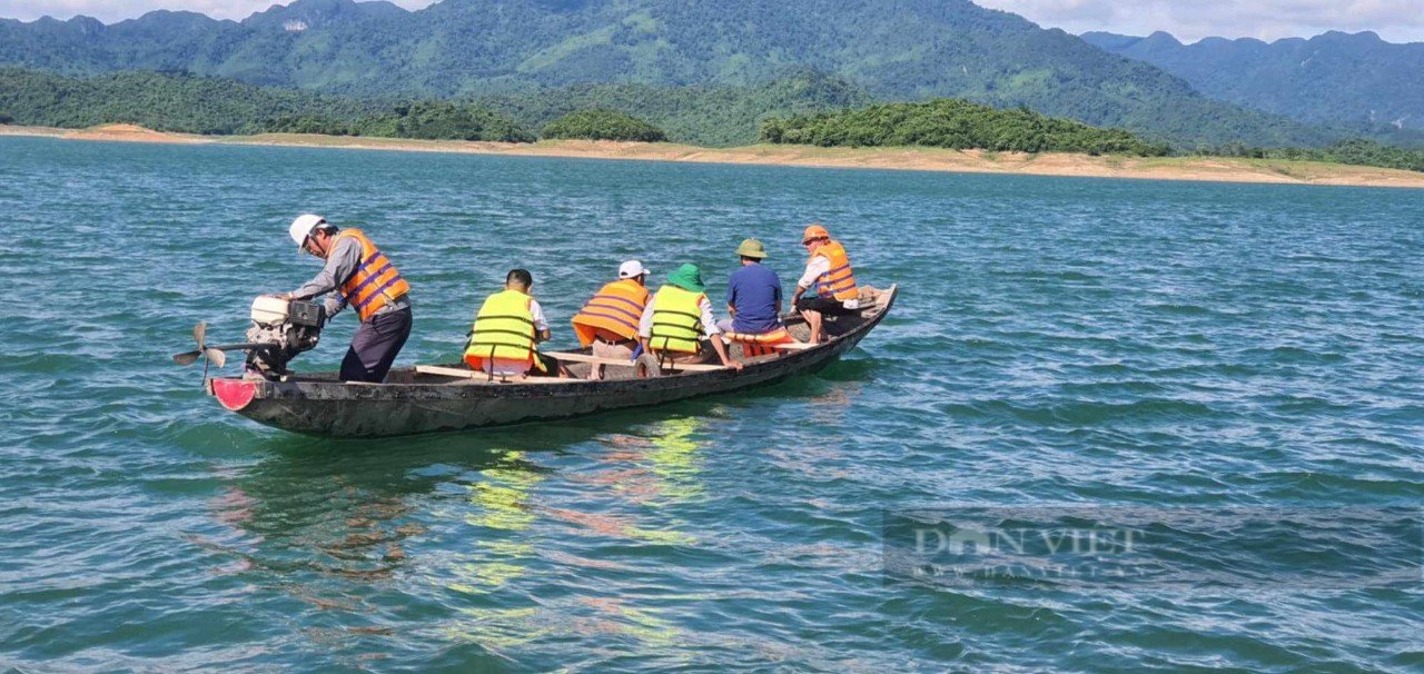 Quảng Bình: Cá mè, cá rô phi chết bất thường ở hồ Rào Đá, nơi cấp nước cho 7.000 hộ dân- Ảnh 2.