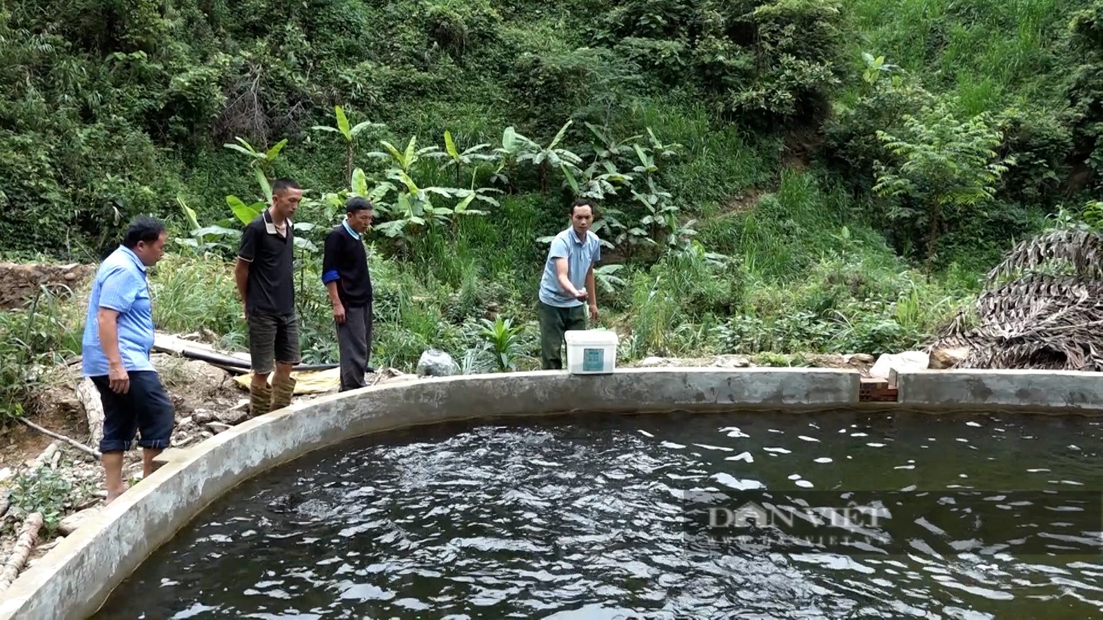 Ấp ủ 7 năm, nay 3 anh em người Mông ở Mù Cang Chải đã thành công với giống cá mới - Ảnh 2.