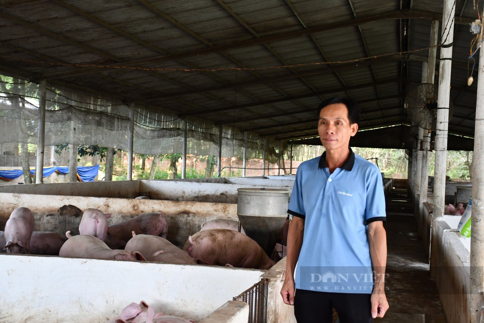 Nông dân sản xuất giỏi Lâm Văn Giàng: Khởi nghiệp lái heo, thành… tỷ phú cây cao su - Ảnh 5.