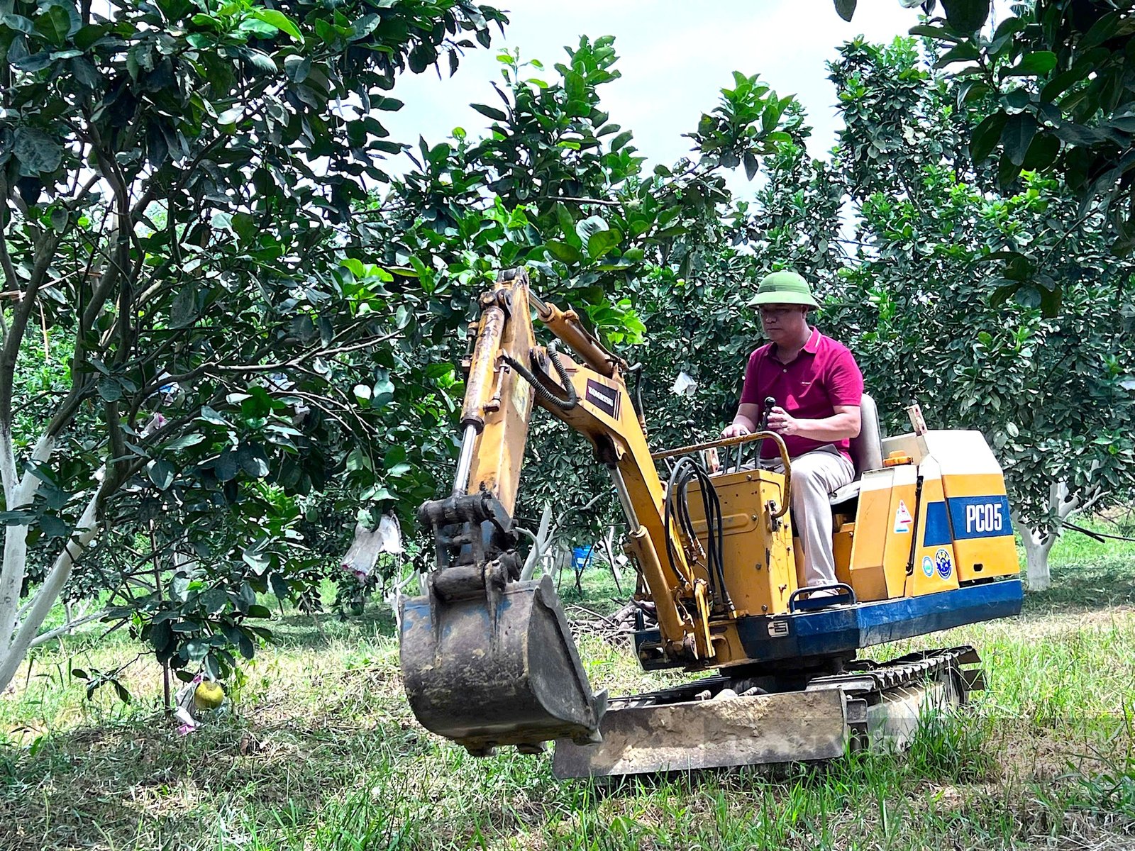 Hà Tĩnh: Mê làm nông nghiệp hữu cơ, anh kỹ sư nghèo trở thành Nông dân xuất sắc 2024 thu về hơn 6 tỷ đồng/năm - Ảnh 5.