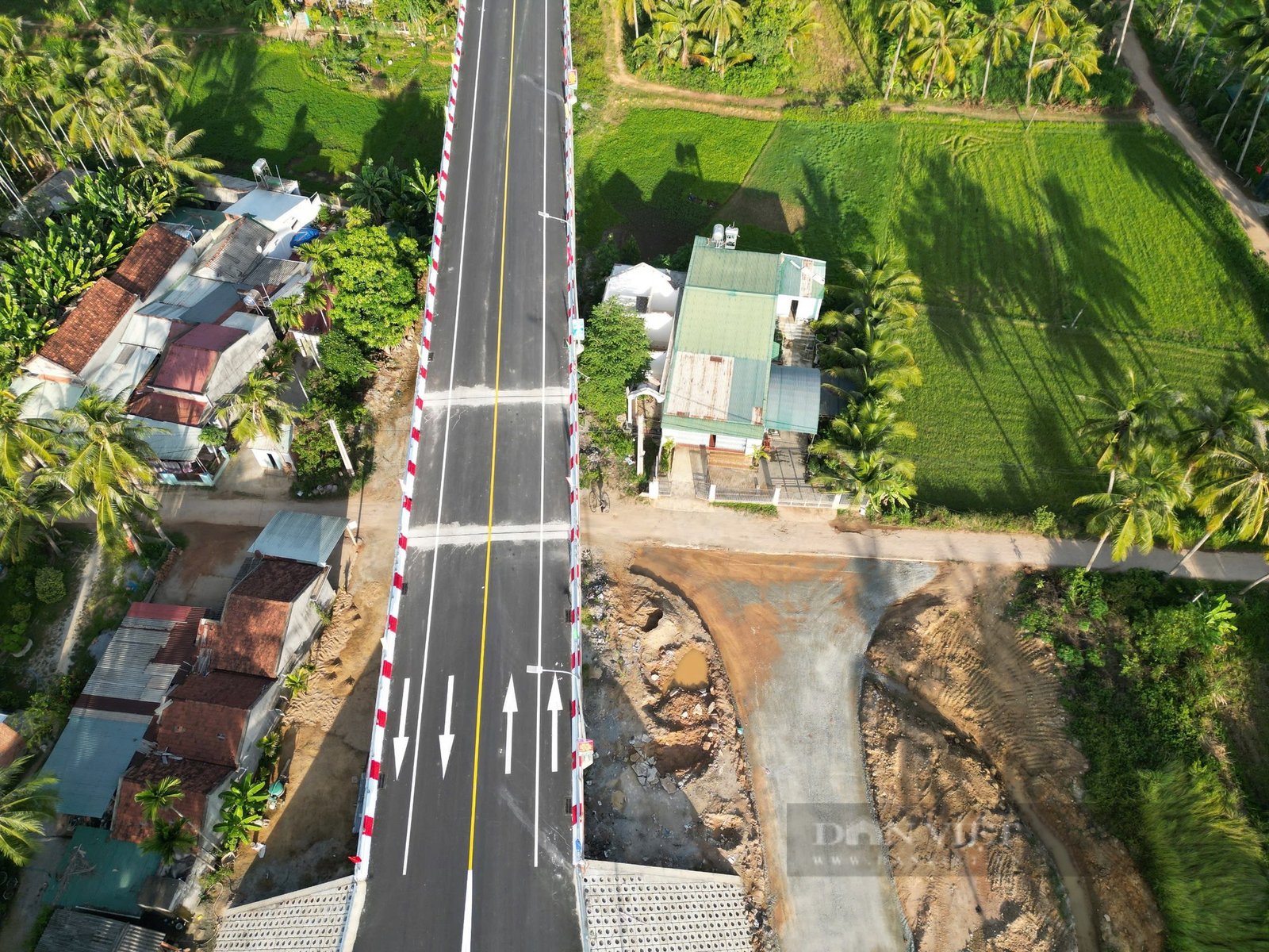 Mê mẩn tuyến đường 7km trị giá gần 800 tỷ đồng đi xuyên rặng dừa, vừa khánh thành tại Bình Định- Ảnh 3.