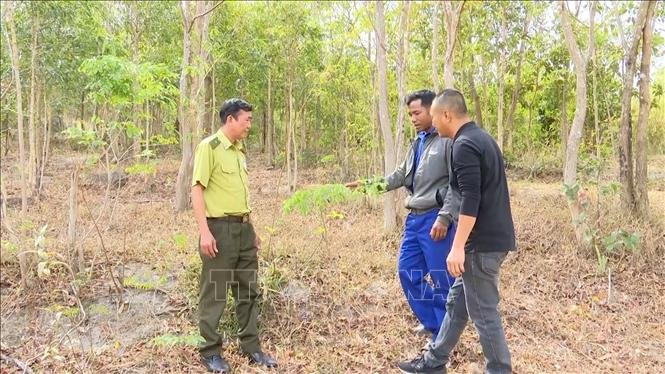 Ở một làng xa xôi của Gia Lai, dân ngày đêm canh chừng rừng gỗ quý-loài cây có tên trong sách Đỏ Việt Nam - Ảnh 1.