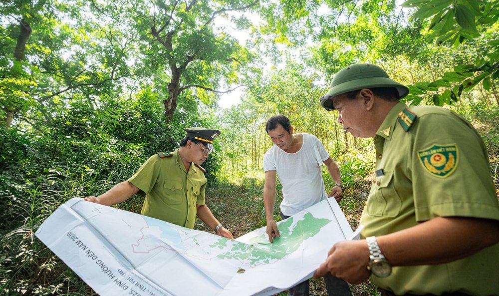 Một khu rừng ở Phú Thọ cách Hà Nội khoảng 70km chỉ có hơn 300 cây gỗ quý, toàn cây cổ thụ to thế này - Ảnh 3.