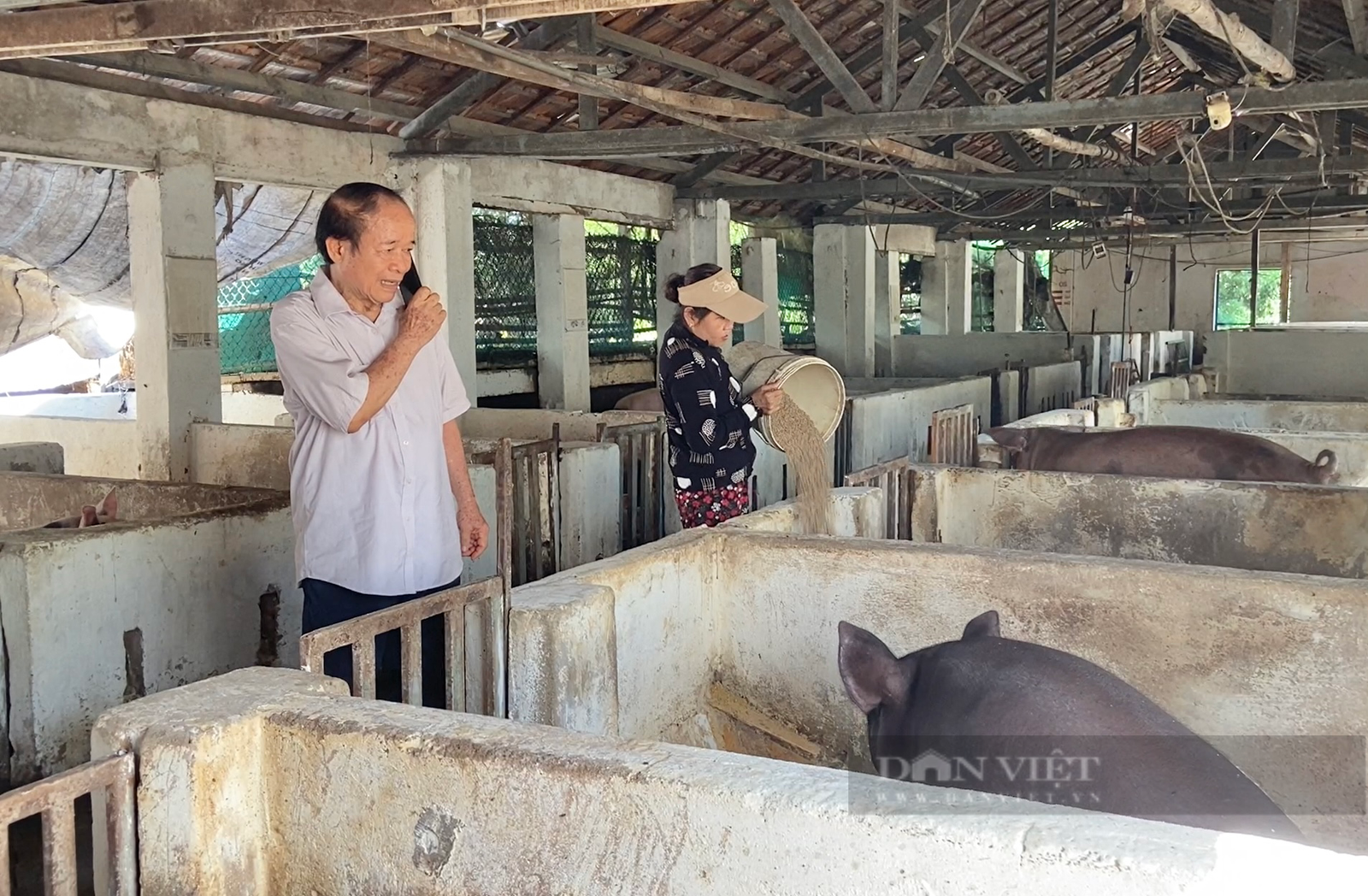 Liều nuôi lung tung, một người Quảng Nam có doanh thu 10 tỷ/năm, là Nông dân Việt Nam xuất sắc- Ảnh 15.