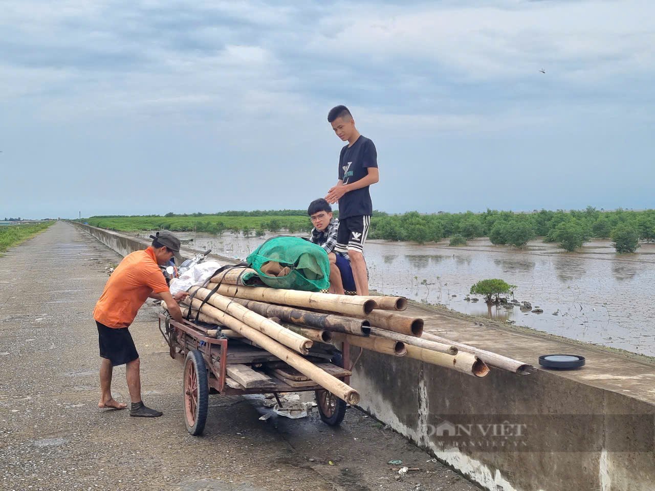 Ứng phó siêu bão số 3, người dân Ninh Bình đưa hết túi nước, bao cát lên mái nhà chống gió mạnh - Ảnh 3.