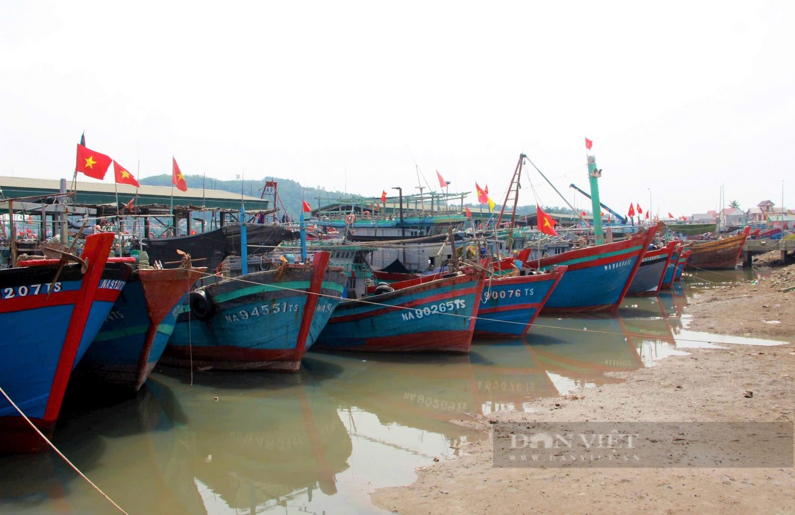 Siêu bão số 3 (Yagi): Người dân ở Nghệ An neo tàu thuyền, gia cố nơi xung yếu đảm bảo an toàn- Ảnh 10.