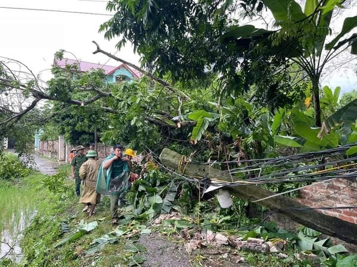 Thái Nguyên: Hơn 3.500 cây xanh gãy đổ, hàng trăm ha lúa, hoa màu bị ngập đổ- Ảnh 2.