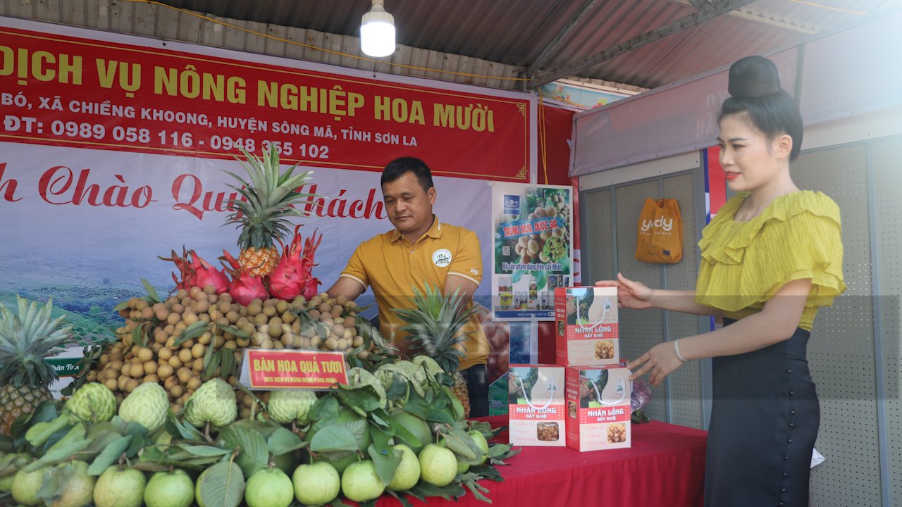 Nông dân Sơn La trồng nhãn chín sớm ra quả ngọt lịm, giá bán gấp đôi chính vụ- Ảnh 8.