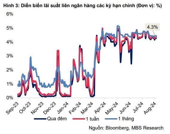 Ngân hàng Nhà nước có thể tăng tỷ giá mua để bổ sung dự trữ ngoại hối - Ảnh 2.