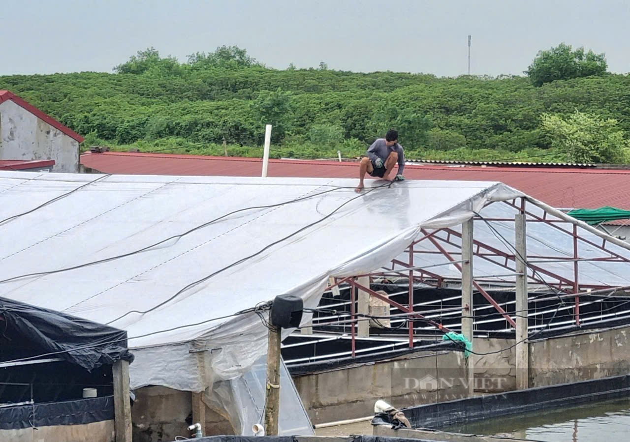 Ứng phó siêu bão số 3, người dân Ninh Bình đưa hết túi nước, bao cát lên mái nhà chống gió mạnh - Ảnh 1.