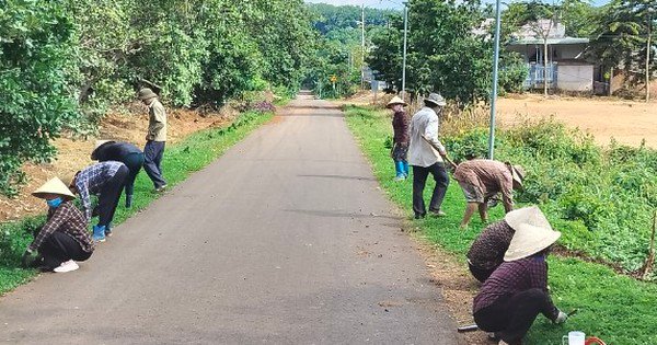 Bức tranh nông thôn mới Bình Phước: Đường làng, lối phố, nhà dân ngày càng khang trang, sạch đẹp (Bài 2)