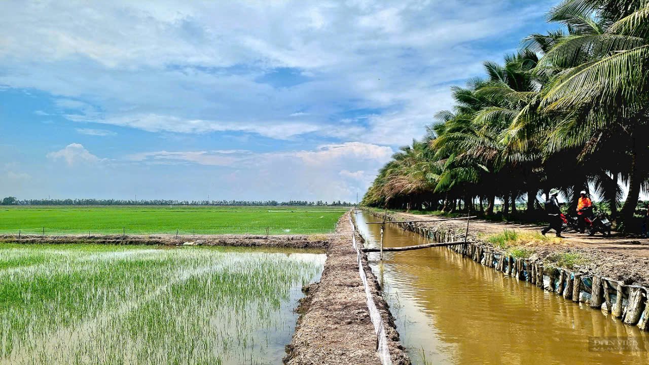 Nông dân Việt Nam xuất sắc 2024: 25 năm chinh phục đất phèn, thành “siêu tỷ phú” - Ảnh 8.